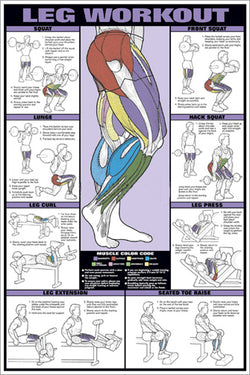 Leg Workout Professional Fitness Instructional Wall Chart Poster - Fitnus Corp.