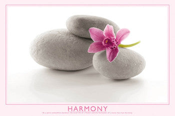Flower and Stone "Harmony" Inspirational Poster - Wizard & Genius