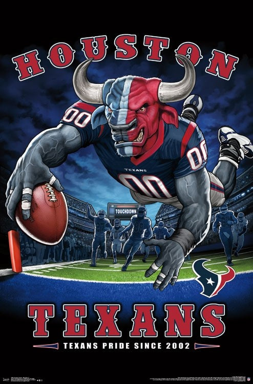 NFL Houston Texans Team Pride Paint by Number Craft Kit, 1 ct - Harris  Teeter