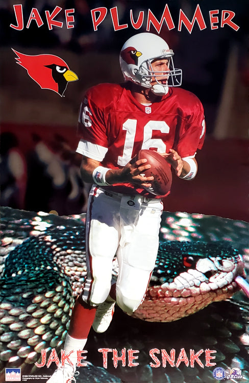 Jake Plummer 'Jake The Snake' Arizona Cardinals NFL QB Action Poster -  Starline Inc. 1998