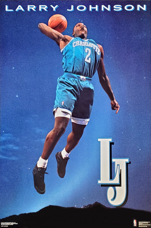 Vintage 90s Charlotte Hornets Larry Johnson NBA Basketball 