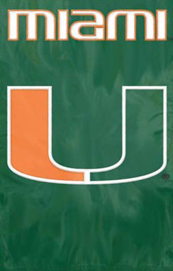 Miami Hurricanes Official NCAA Premium Applique Banner Flag - Party Animal