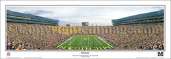 Michigan Wolverines Stadium "End Zone" Panoramic Poster Print - Everlasting Images 2010