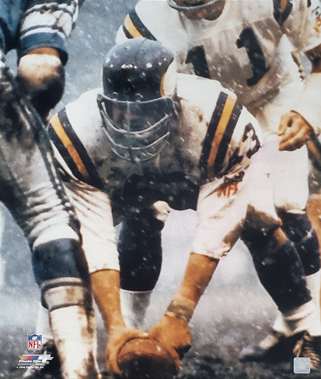Mick Tingelhoff 'Center in Snow' (1969) Minnesota Vikings Premium Post –  Sports Poster Warehouse