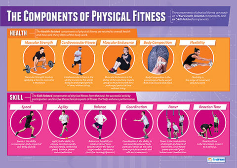 The Components of Physical Education Fitness Wall Chart Poster - PosterFit