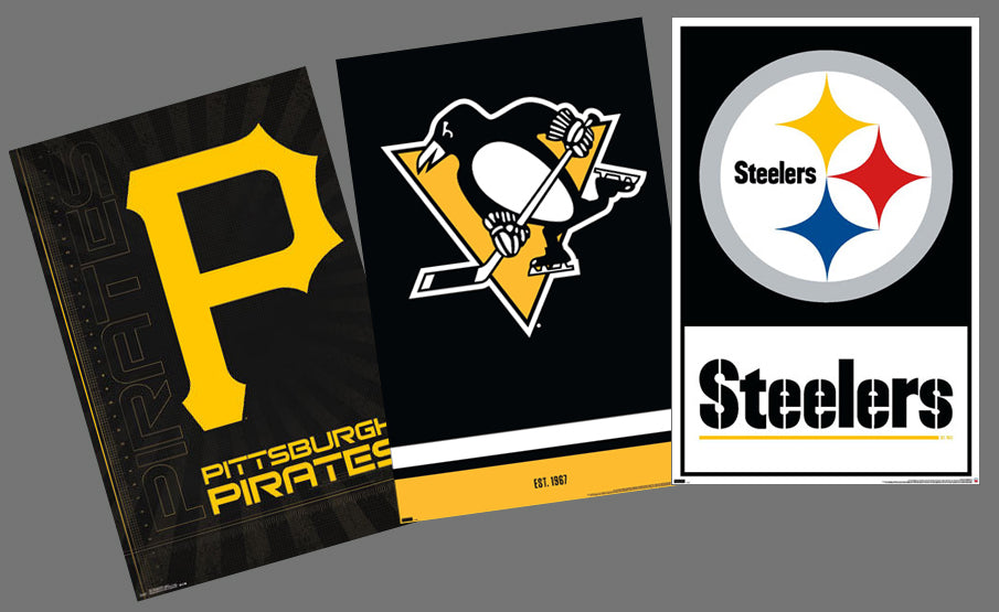 Personalized Custom License Plate Pittsburgh sports teams combined logo  Steelers Pirates Penguins on black background