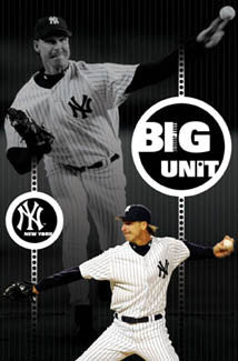 Randy Johnson "Big Unit: Pinstripes" New York Yankees Poster - Costacos 2005
