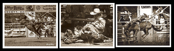Rodeo Photography by Barry Hart 3-Poster Set - McGaw Graphics 2014