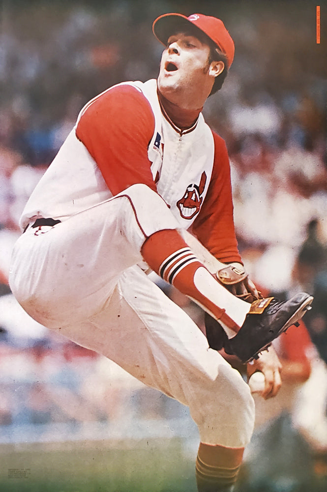 Original St. Louis Cardinals Poster - 1968 Major League Baseball Promotion  Corp.
