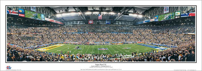 Seattle Seahawks Super Bowl 48 Team Force Panoramic Photo