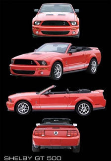Ford Shelby GT500 "Glory Shots" Poster - Pyramid Posters