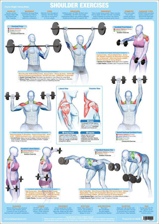 Shoulder Exercises Chart