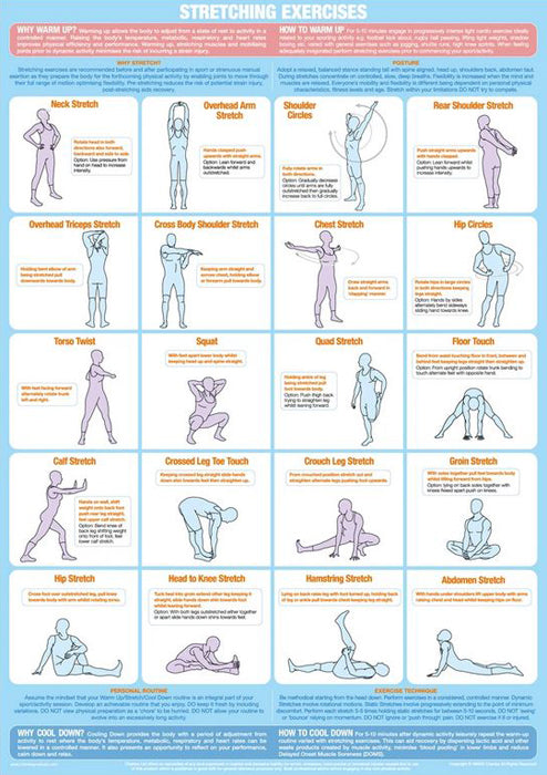 hamstring stretches chart