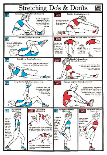 Stretching Do's and Don'ts Fitness Flexibility Wall Chart Poster - Fitnus Corp.