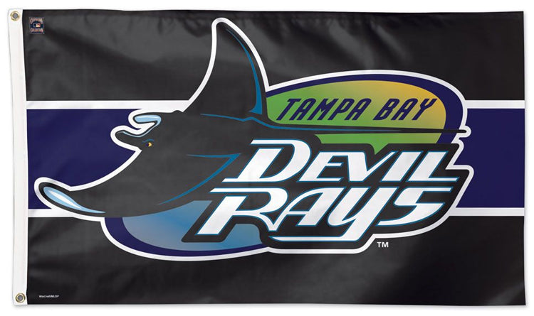 WinCraft MLB Tampa Bay Rays Flag12x18 Garden Style 2 Sided Flag, Team  Colors, One Size