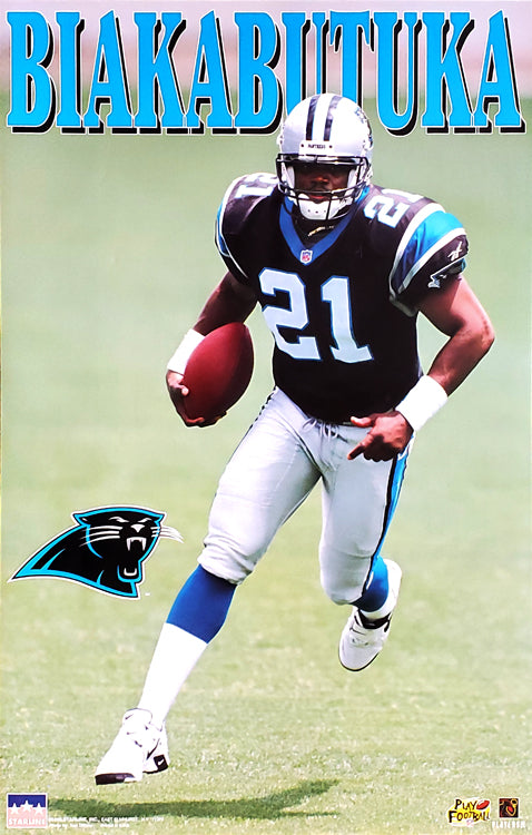 Carolina Panthers Delhomme (#17) Jersey (2000s) 