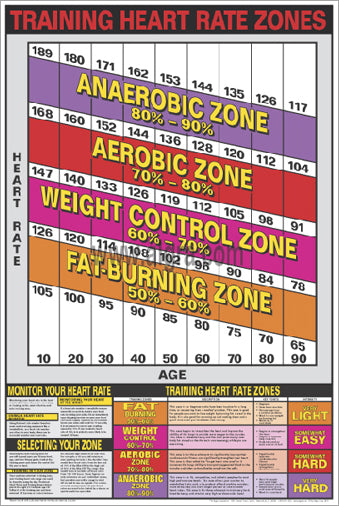 Training Heart Rate Zones Cardio Workout Professional Fitness Wall Chart Poster - Fitnus Corp.