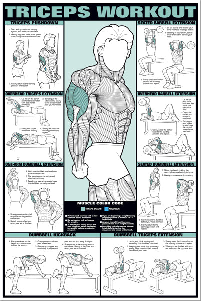 Triceps Workout Arm Fitness Professional Instructional Wall Chart