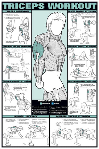 Triceps Workout Arm Fitness Professional Instructional Wall Chart Poster - Fitnus Corp.