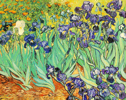 Irises (1889) by Vincent Van Gogh 16x20 Art Print - Eurographics