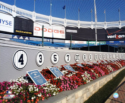 Monument Park at Old Yankee Stadium Premium 20x24 Poster Print - Photofile Inc.