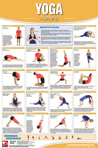 Yoga Fitness Asanas Wall Chart Professional Gym Poster - Productive Fitness
