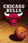 Chicago Bulls Logo Items