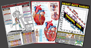 Cardiovascular Training Wall Chart Posters