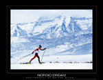 Cross Country Skiing Posters