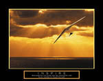 Hang Gliding Posters