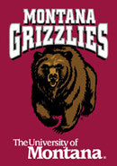 Montana Grizzlies Posters