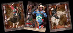 Bull Riding Posters