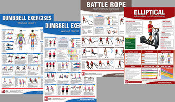Pregnancy Exercises Workout 2-Poster Professional Wall Chart Combo