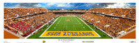 Southern Miss Golden Eagles Posters