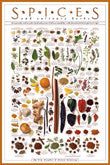 Food And Drink Culinary Posters