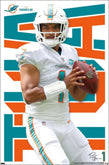 Other Miami Dolphins Player Posters
