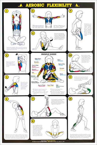 Aerobic Flexibility Stretching Professional Fitness Wall Chart Poster - Fitnus Corp.