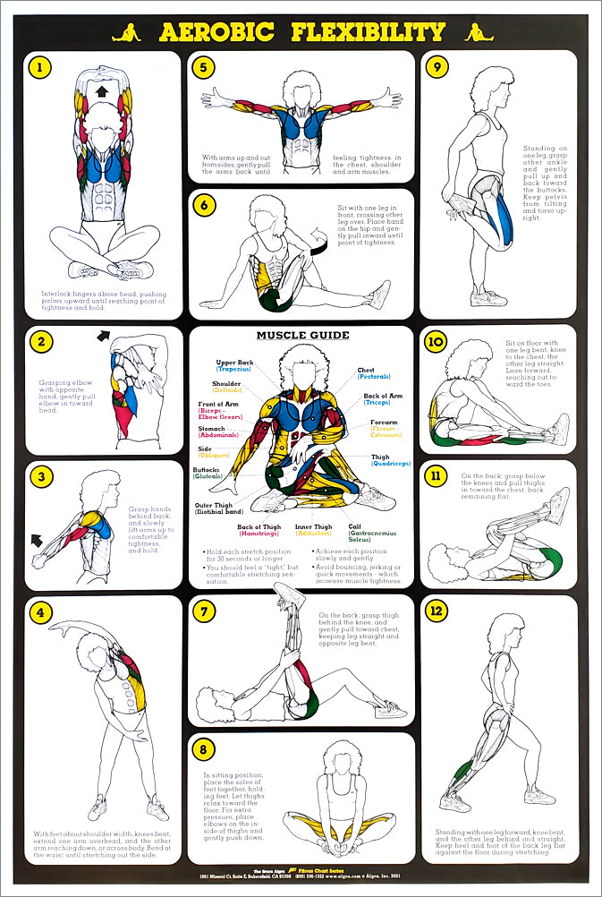 Back Workout Professional Fitness Instructional Wall Chart Poster - Fi ...