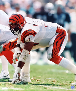 Anthony Munoz "Classic" (c.1988) Cincinnati Bengals Premium Poster Print - Photofile Inc.