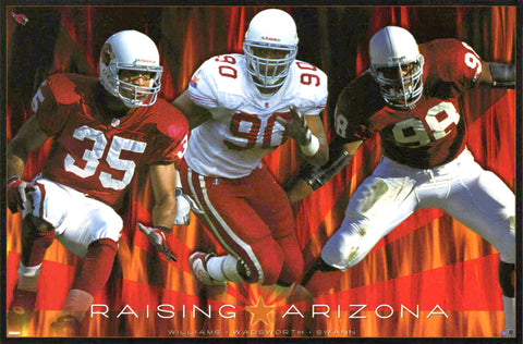 Arizona Cardinals "Raising Arizona" Defensive Trio NFL Action Poster - Costacos 1999