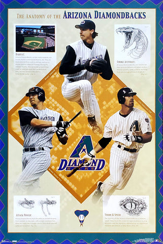 Arizona Diamondbacks "Anatomy" Poster (Randy Johnson, Luis Gonzalez, Sexson) - Costacos 2003
