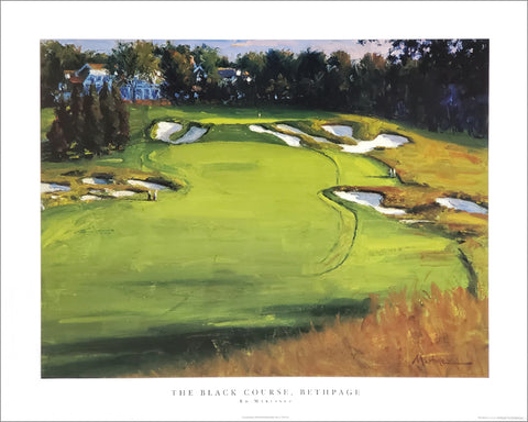 The Black Course #18, Bethpage State Park Golf Course 16x20 Poster Print - Image Source