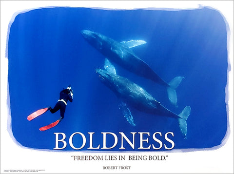 Scuba Diving With Sharks "Boldness" Inspirational Poster w/Robert Frost Quote - Jaguar Educational