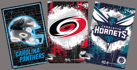 COMBO: NORTH CAROLINA PRO SPORTS 3-Poster Combo (Panthers, Hurricanes, Charlotte Hornets)