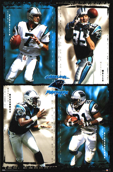 Carolina Panthers "Superstars 2000" NFL Action Poster - Costacos Sports