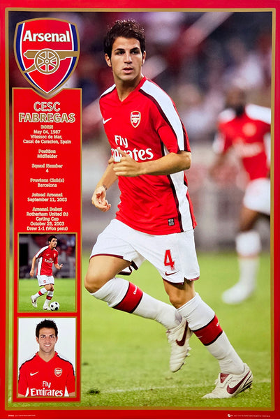 Cesc Fabregas "Profile" Arsenal FC EPL Football Soccer Poster - GB Eye 2008