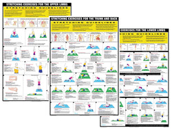 Stretching Exercises Fitness Wall Chart Set (3-Poster Combo) - Chartex Inc.