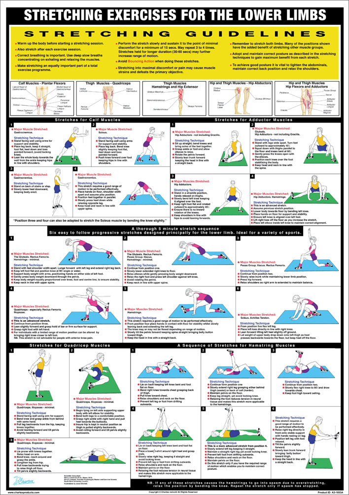 Stretching Exercises Fitness Wall Chart Set (3-Poster Combo) - Chartex ...