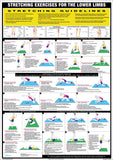 Stretching Exercises Fitness Wall Chart Set (3-Poster Combo) - Chartex Inc.