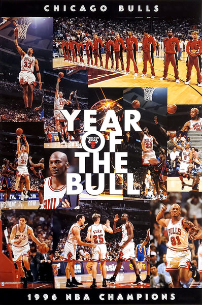 chicago-bulls-year-of-the-
